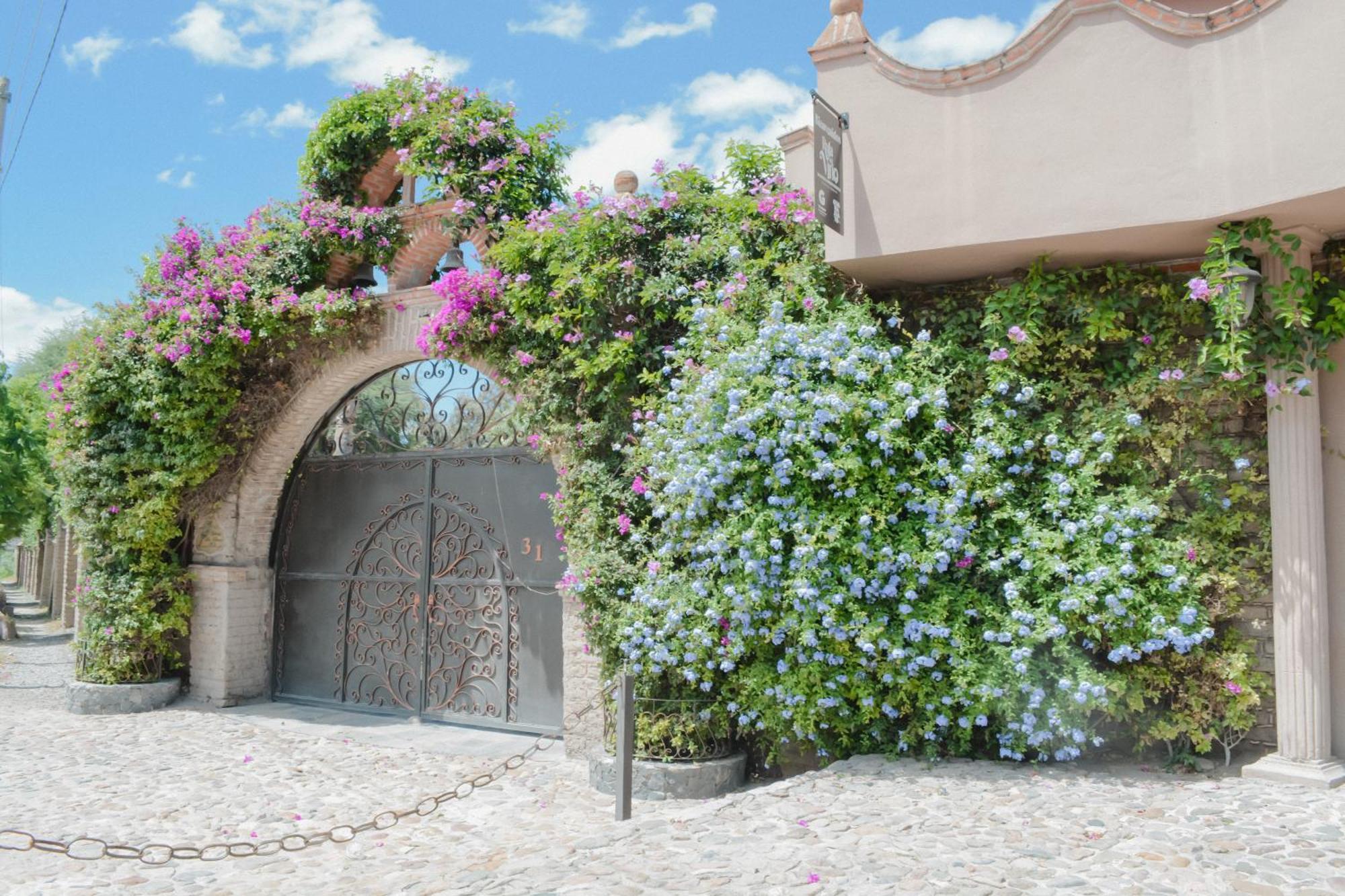 Casa Las Palmas, San Miguel De Allende Cieneguita Extérieur photo